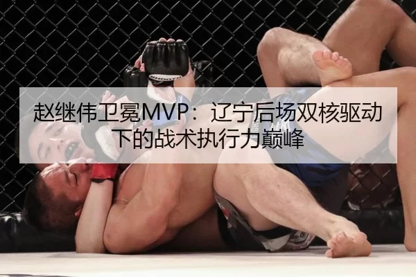 赵继伟卫冕MVP：辽宁后场双核驱动下的战术执行力巅峰