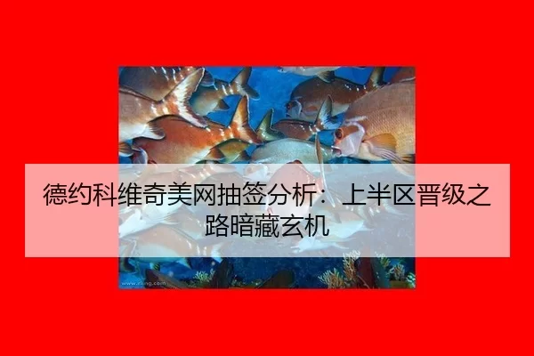 德约科维奇美网抽签分析：上半区晋级之路暗藏玄机