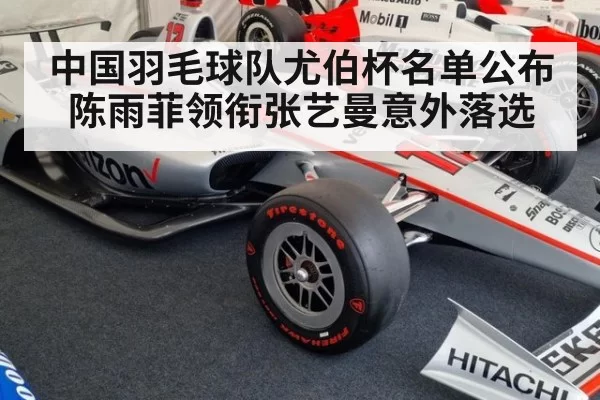 中国羽毛球队尤伯杯名单公布陈雨菲领衔张艺曼意外落选